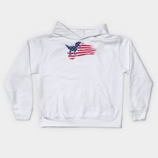 4th Of July Dinosaur Amerisaurus T Rex USA American Flag Kids Hoodie